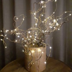 Lyskde i slv, 10 meter lang