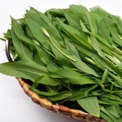 Havsalt med ramslg i saltkvrn