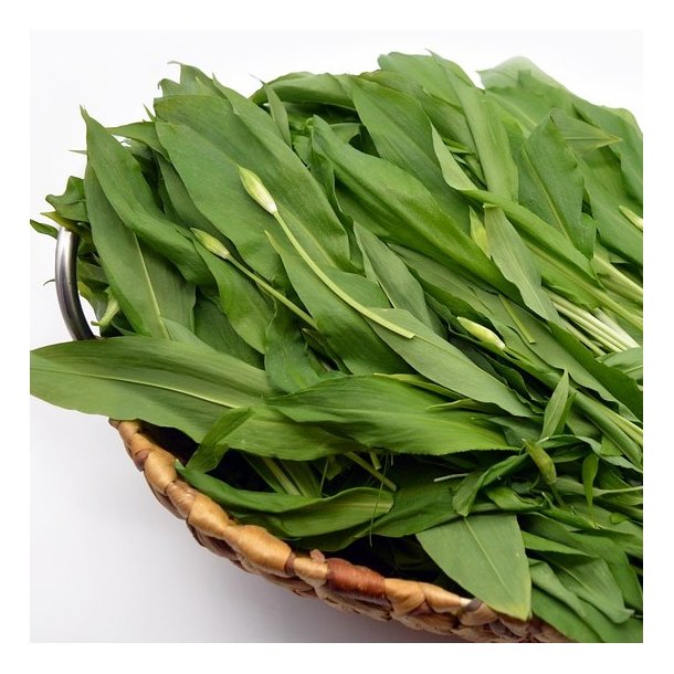 Havsalt med ramslg i saltkvrn