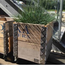 Arizona - Opbevaringskasse i genbrugstr, 36 x 36 x hjde 48,5 cm