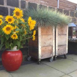 Arizona - Opbevaringskasse i genbrugstr, 36 x 36 x hjde 67,5 cm