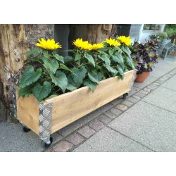 Arizona - Opbevaringskasse i genbrugstr, 102 x 25 x hjde 29,5 cm