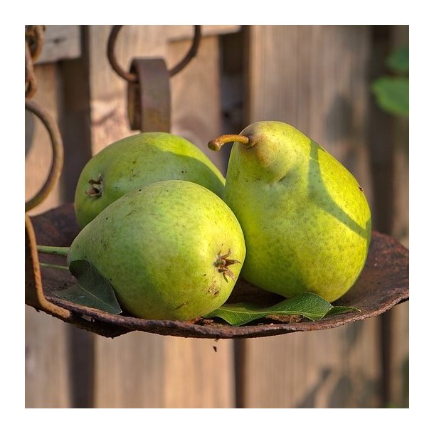 Drikkeklar saft - Premost