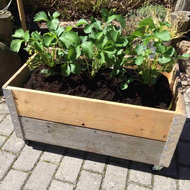 Arizona - Plantekasse i genbrugstr, 91 x 51,5 x hjde 48,5 cm