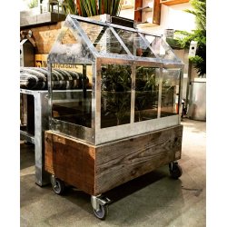 Calinornia - Plantekasse til stor vksthus