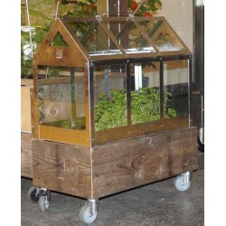 Calinornia - Plantekasse til stor vksthus