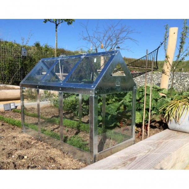 Calinornia stor vksthus i galvaniseret stl, 62 x 32 x 50 cm